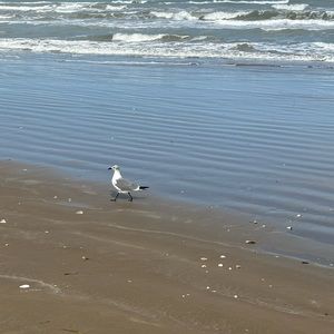 Meet your Posher, Cici